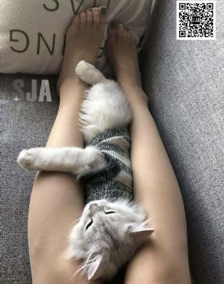 久久在线观看